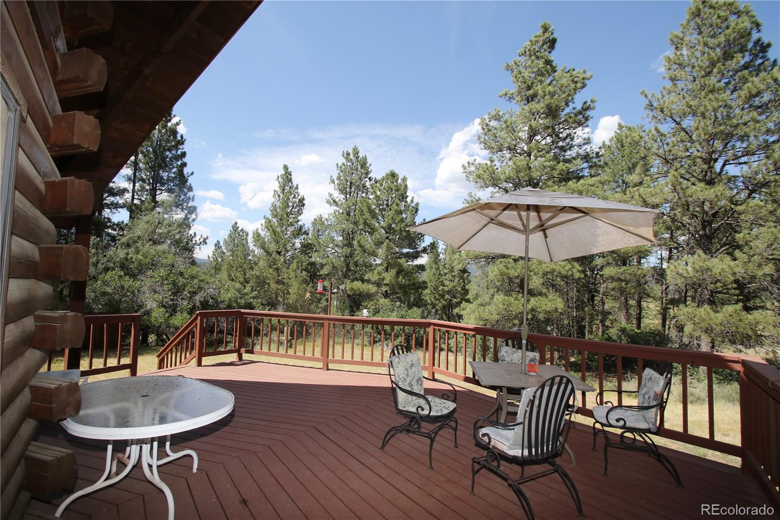 MLS Image #21 for 1106  county road 700 ,pagosa springs, Colorado