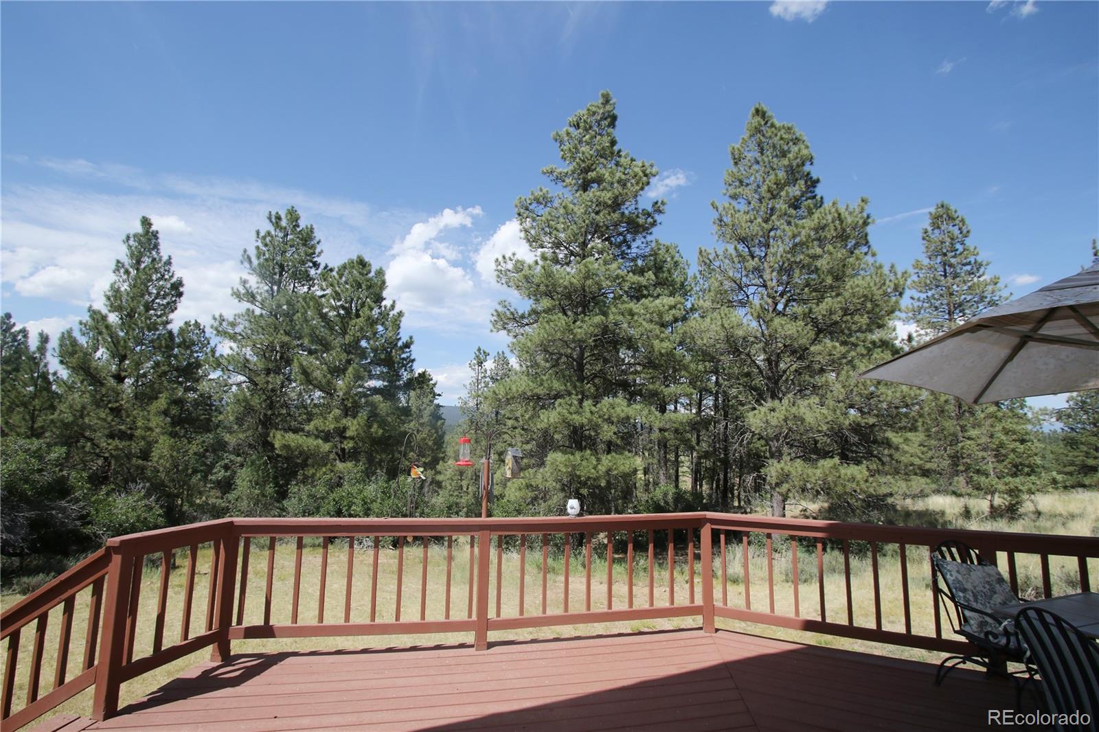 MLS Image #22 for 1106  county road 700 ,pagosa springs, Colorado