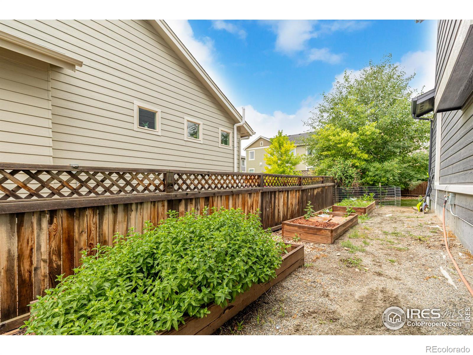 MLS Image #38 for 12375  kalispell street,commerce city, Colorado