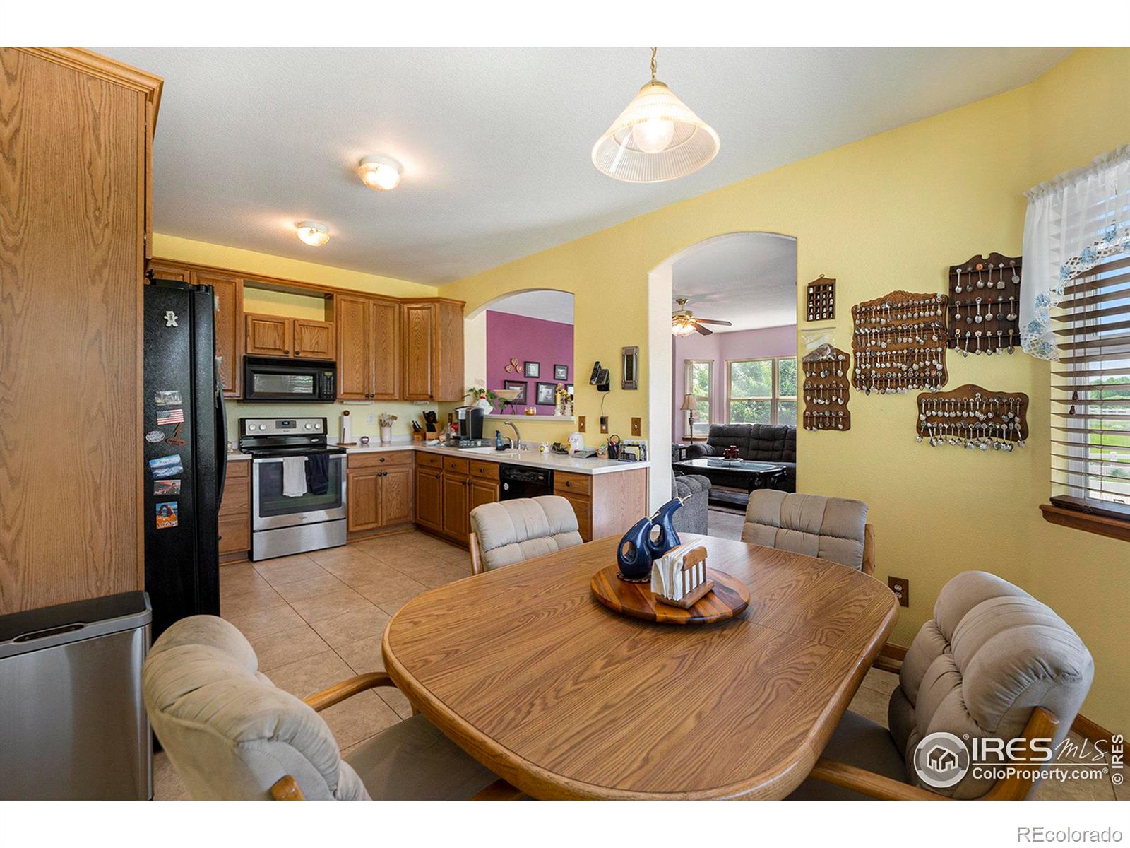 MLS Image #6 for 16651  tree haven street,hudson, Colorado