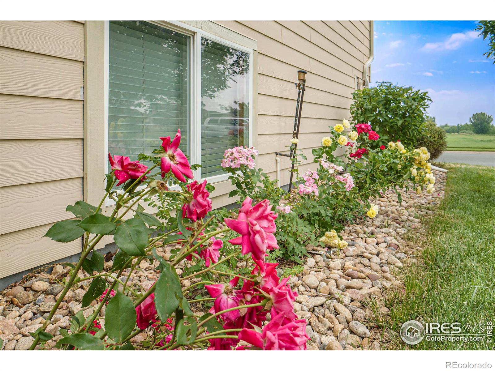 MLS Image #31 for 1526  ponderosa drive,severance, Colorado