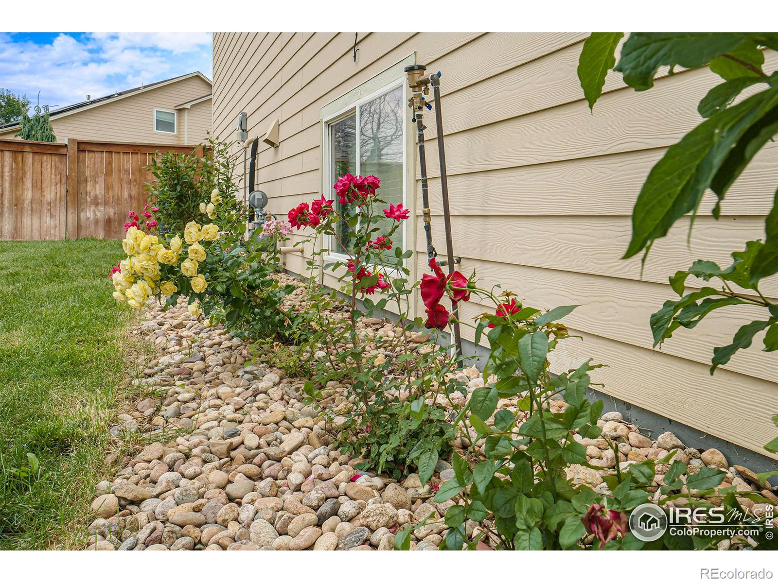 MLS Image #32 for 1526  ponderosa drive,severance, Colorado