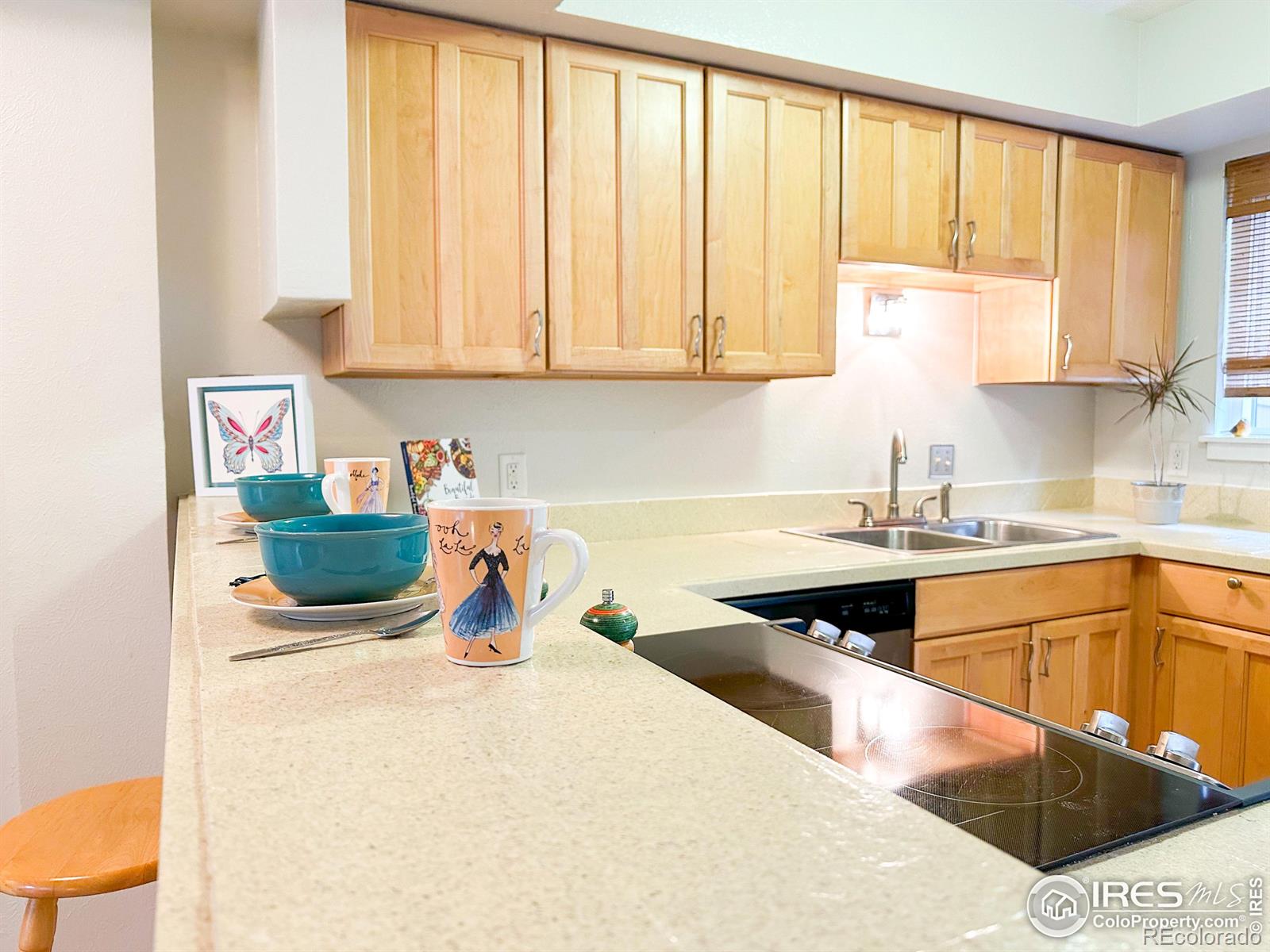 MLS Image #3 for 726  julian circle,lafayette, Colorado