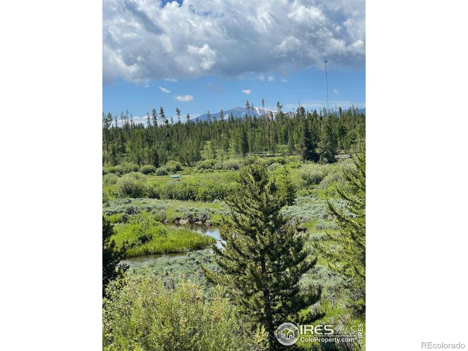 MLS Image #6 for 90  county road 21 ,rand, Colorado