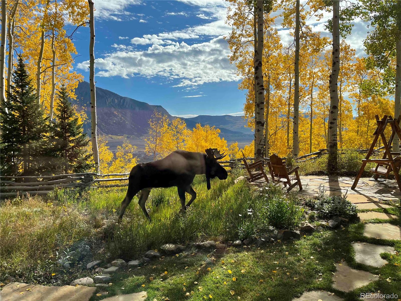 MLS Image #3 for 152  evergreen drive,crested butte, Colorado