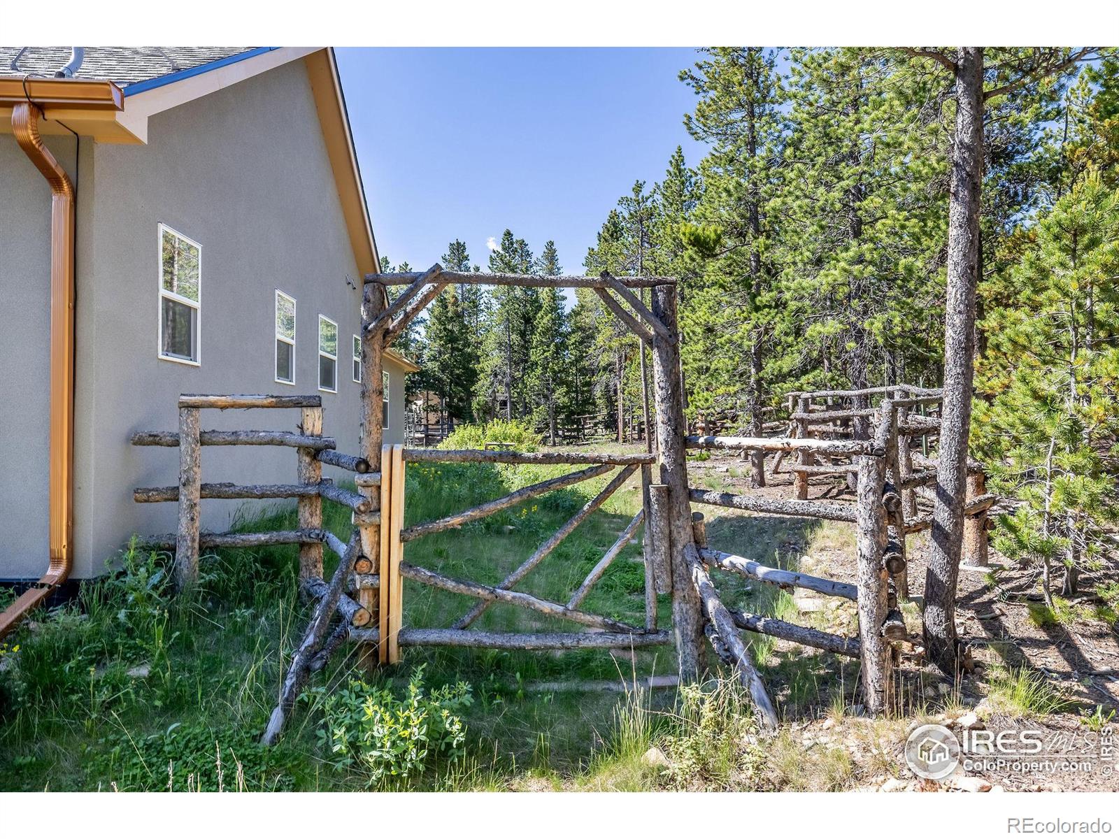 MLS Image #23 for 425  indian peaks drive,nederland, Colorado