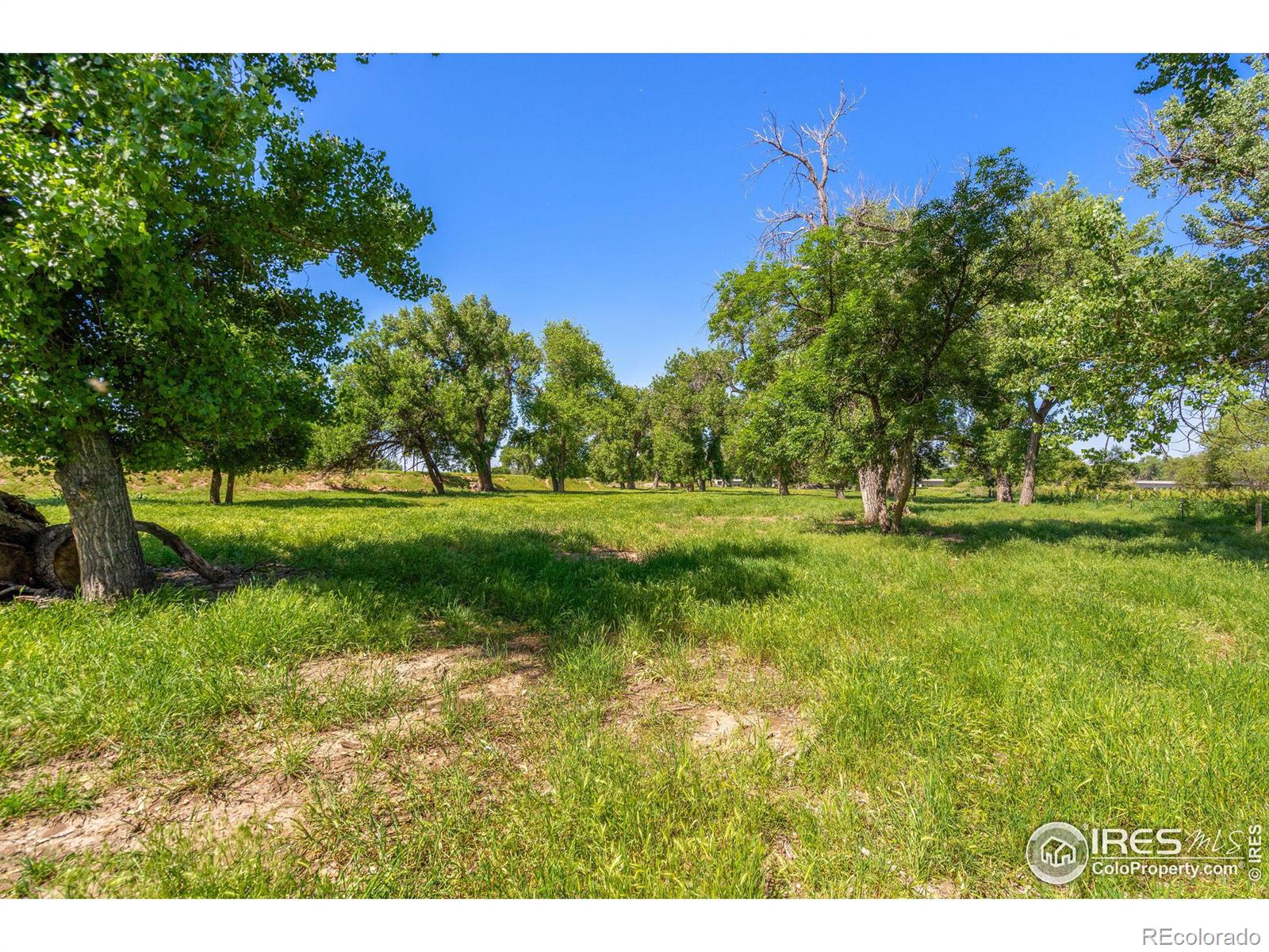 MLS Image #33 for 13255  county road 46 ,platteville, Colorado