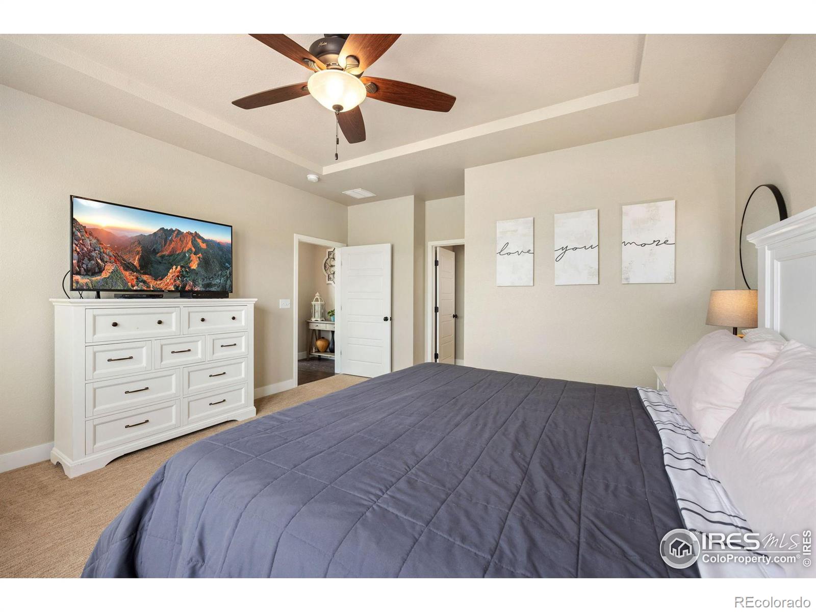 MLS Image #15 for 6776  castello street,timnath, Colorado