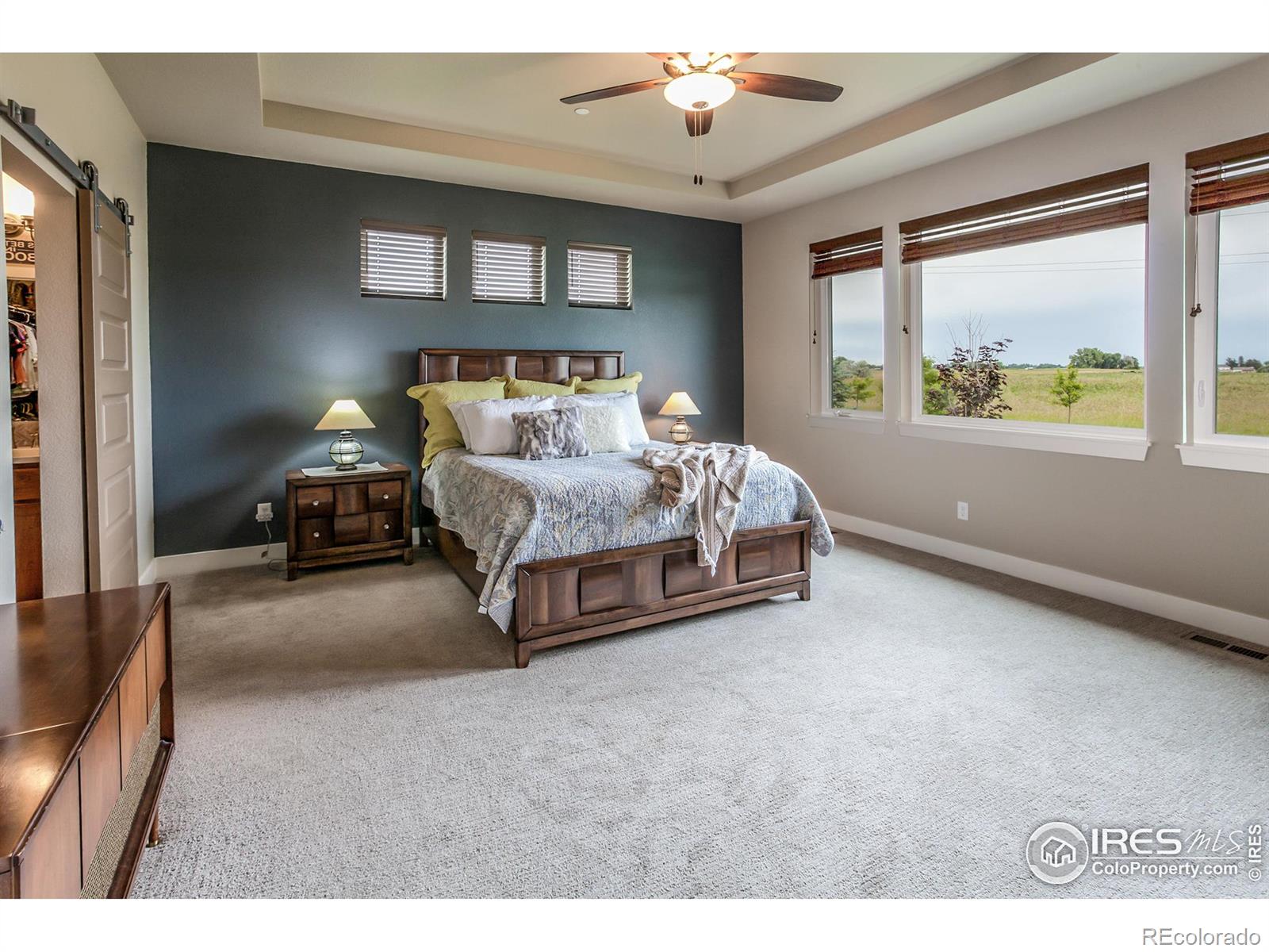 MLS Image #20 for 7022  toponas court,timnath, Colorado