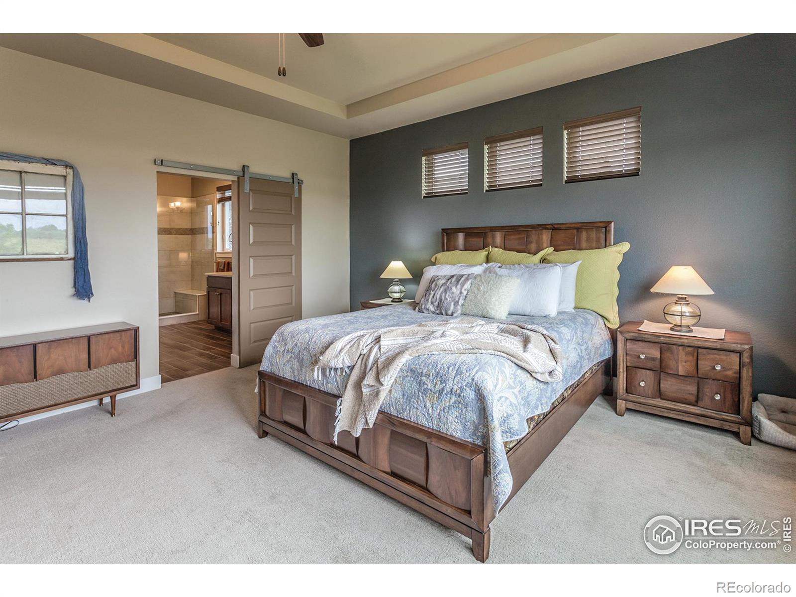 MLS Image #21 for 7022  toponas court,timnath, Colorado