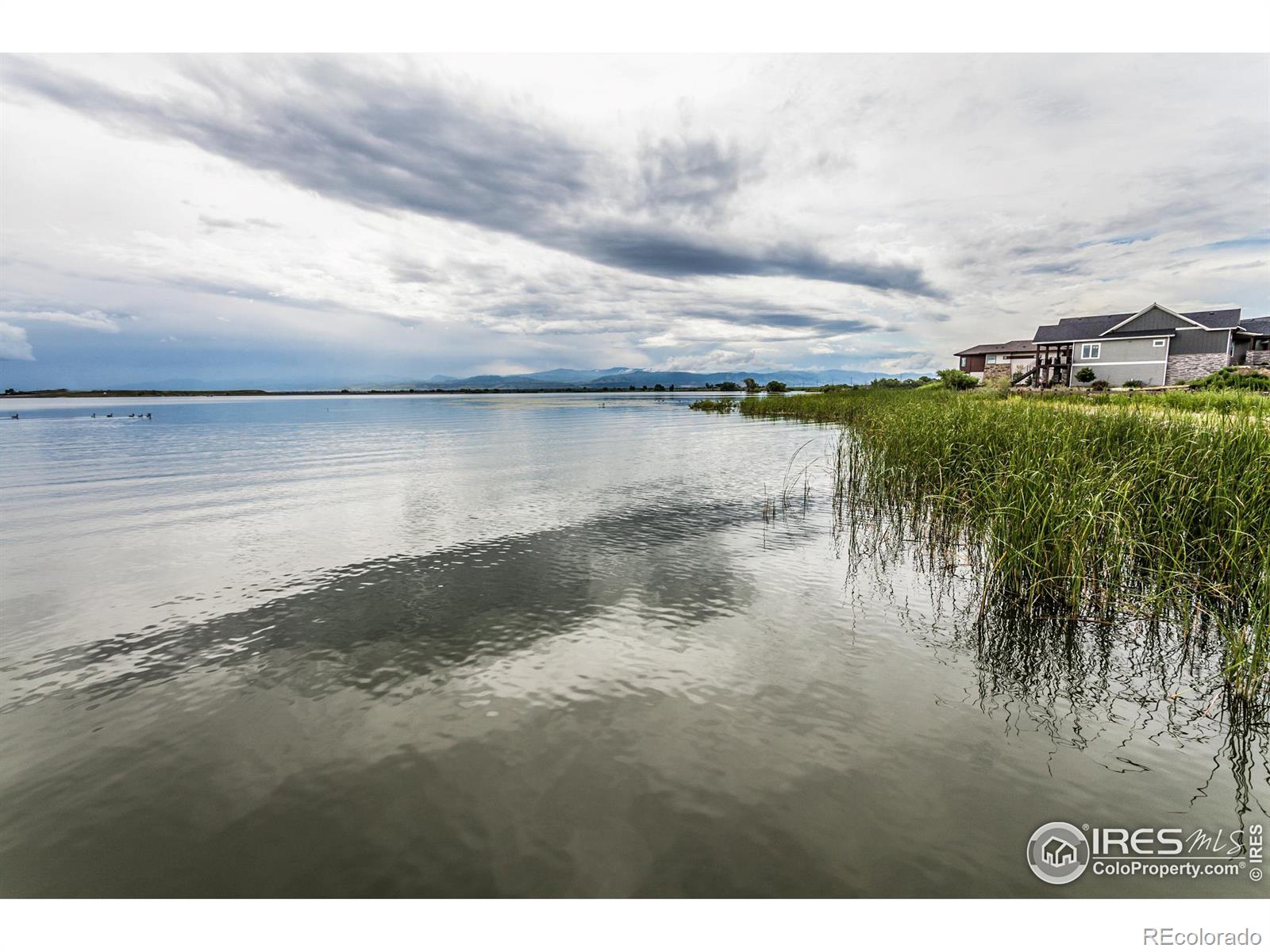 MLS Image #38 for 7022  toponas court,timnath, Colorado