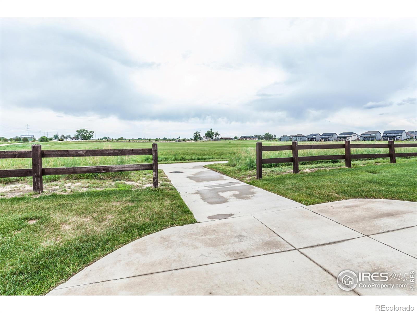 MLS Image #5 for 7022  toponas court,timnath, Colorado