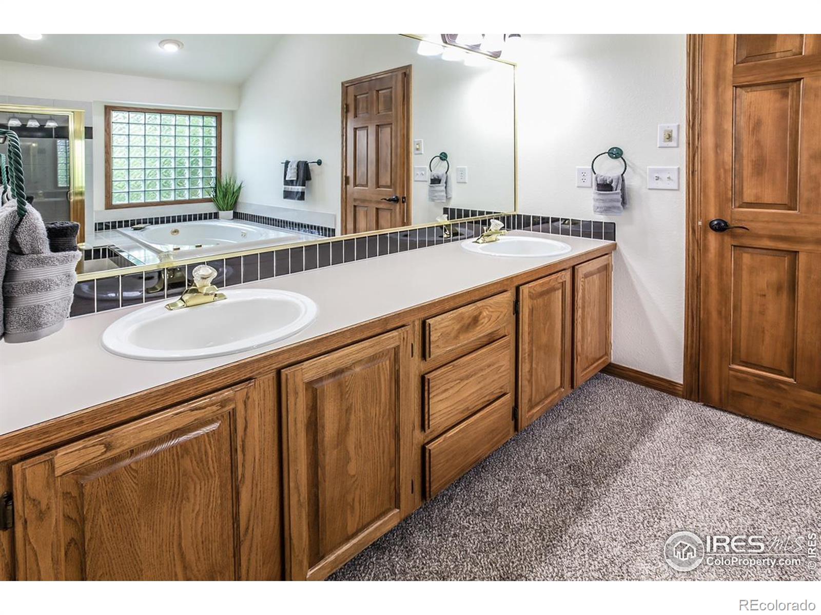 MLS Image #17 for 2909  blue leaf court,fort collins, Colorado