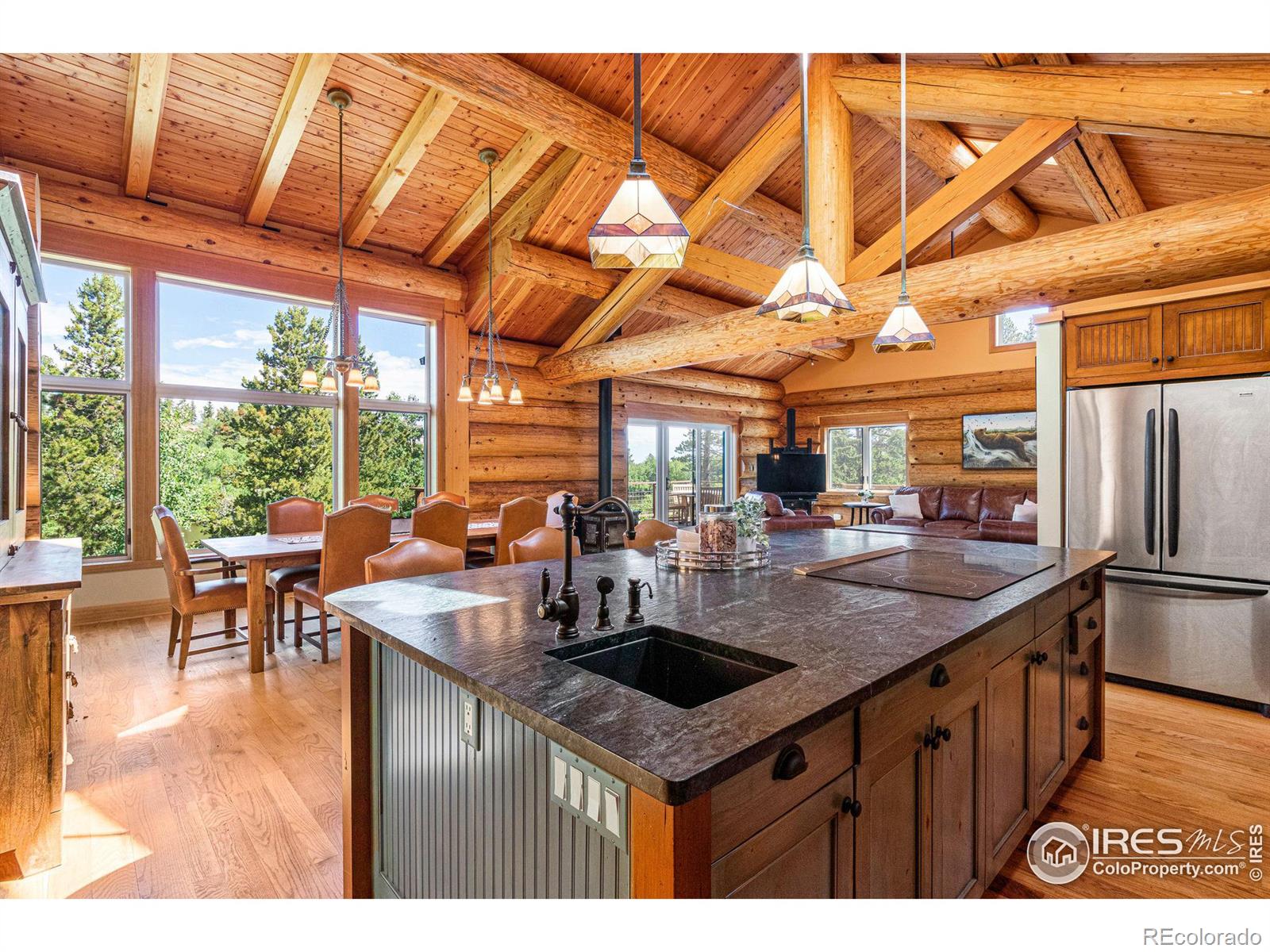 MLS Image #10 for 734  pine cone circle,ward, Colorado