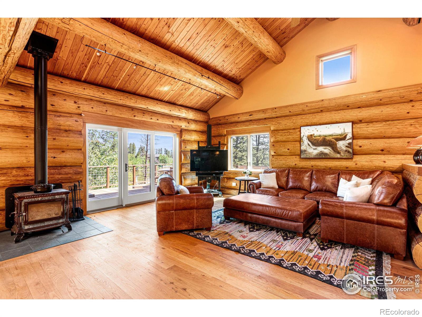 MLS Image #4 for 734  pine cone circle,ward, Colorado