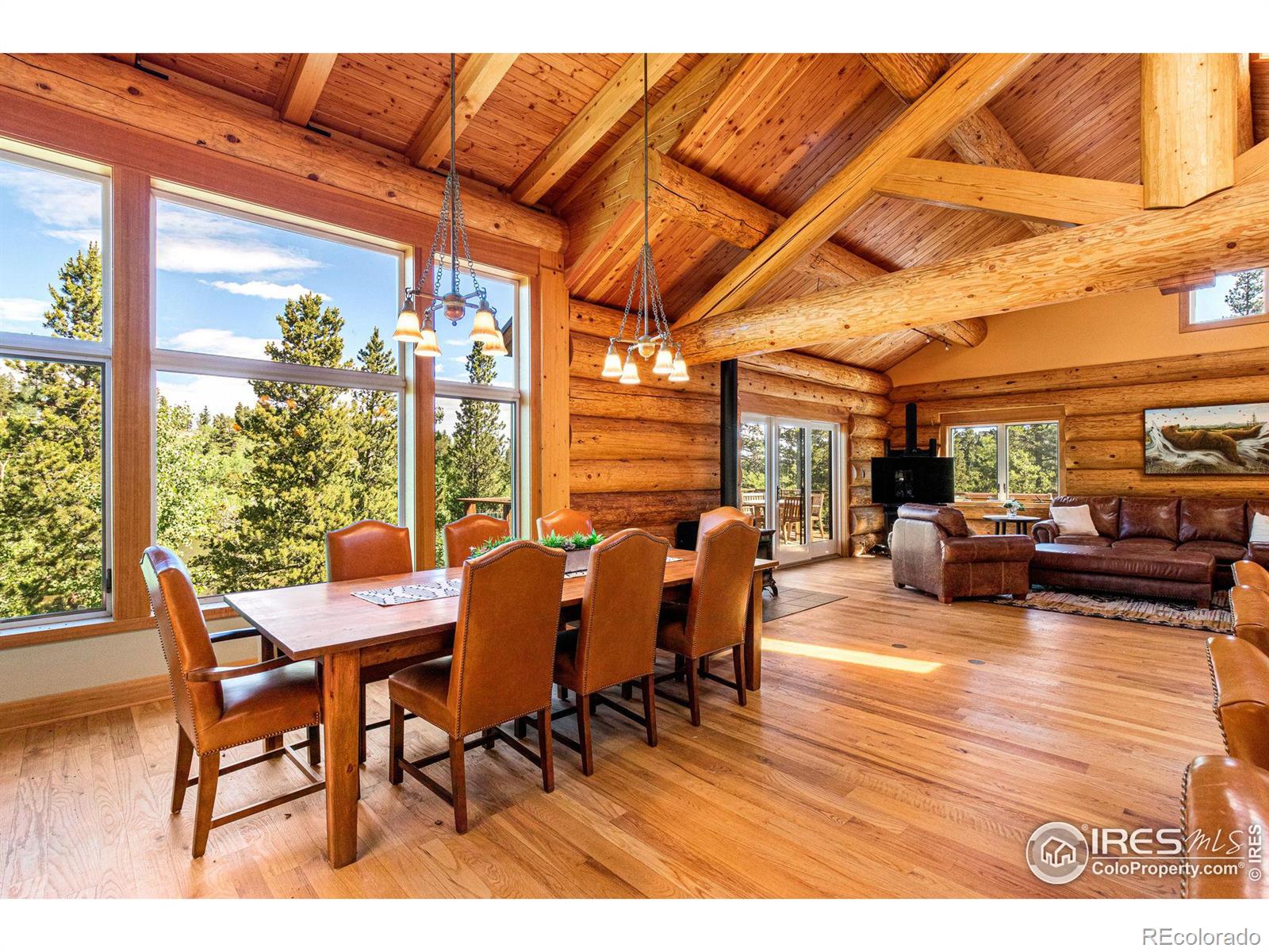 MLS Image #6 for 734  pine cone circle,ward, Colorado