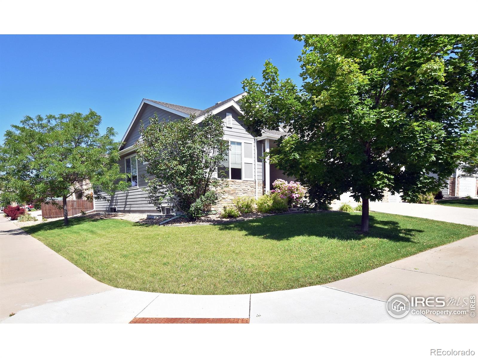 CMA Image for 3606  peckham court,Loveland, Colorado