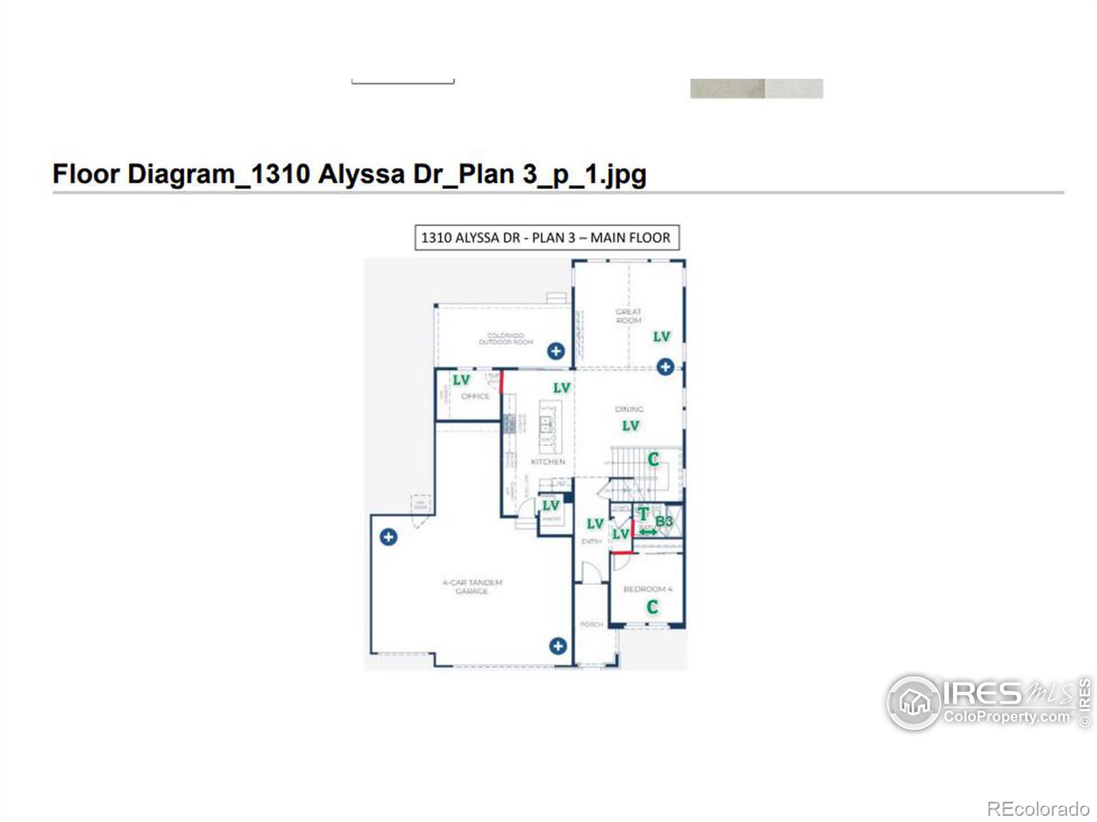 Report Image for 1310  Alyssa Drive,Timnath, Colorado