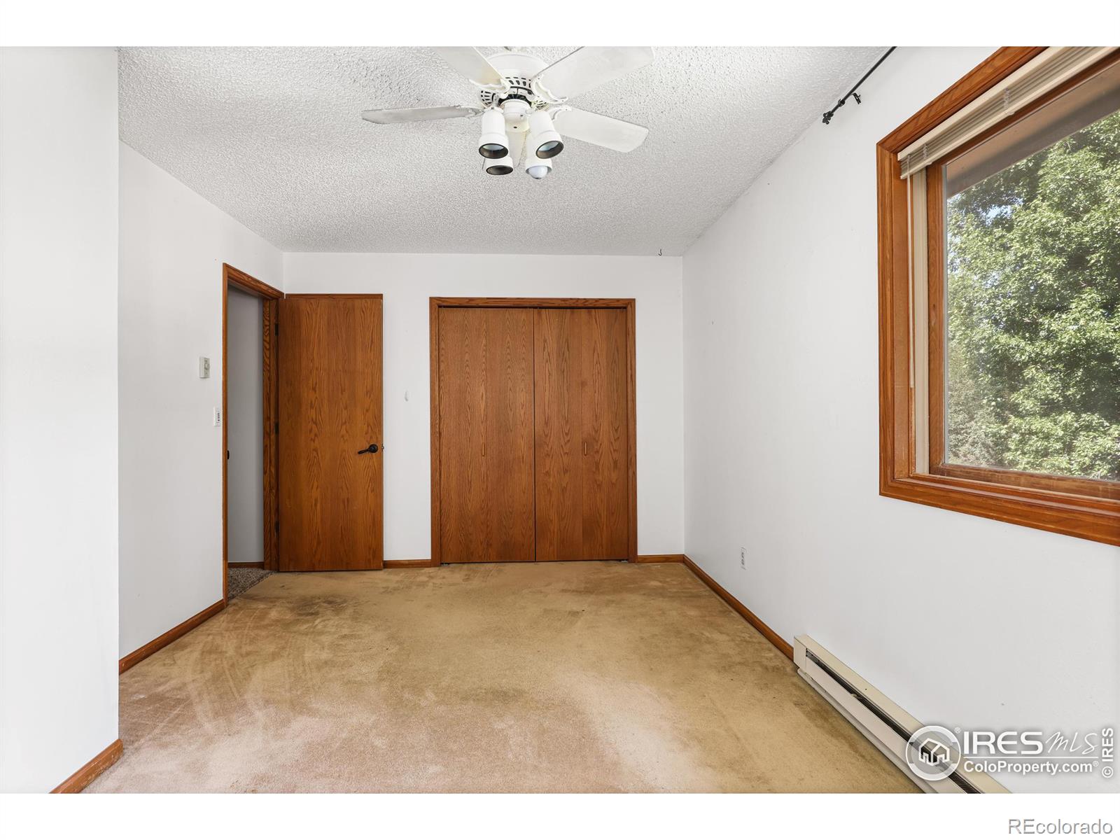 MLS Image #10 for 2619  dunbar avenue,fort collins, Colorado