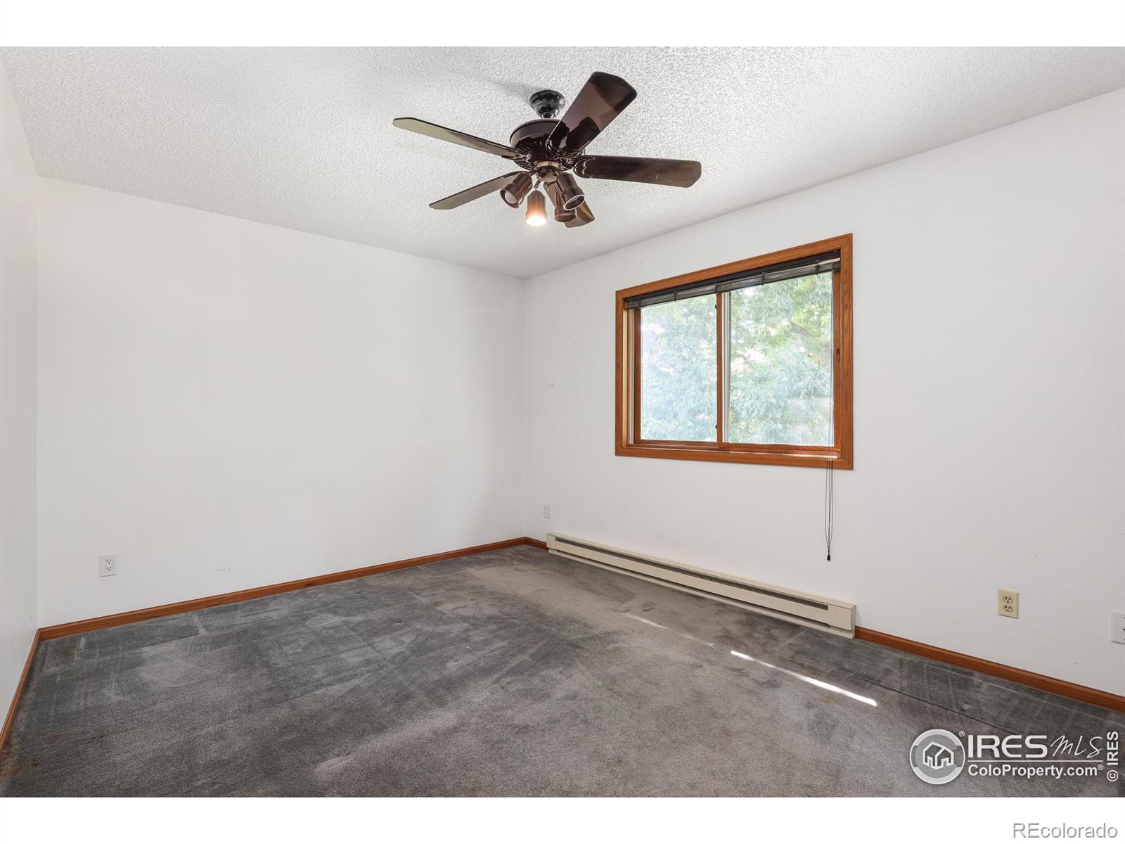 MLS Image #12 for 2619  dunbar avenue,fort collins, Colorado