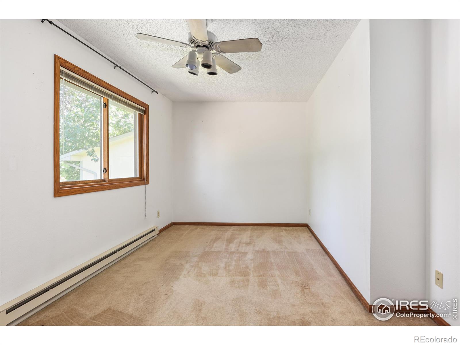 MLS Image #15 for 2619  dunbar avenue,fort collins, Colorado