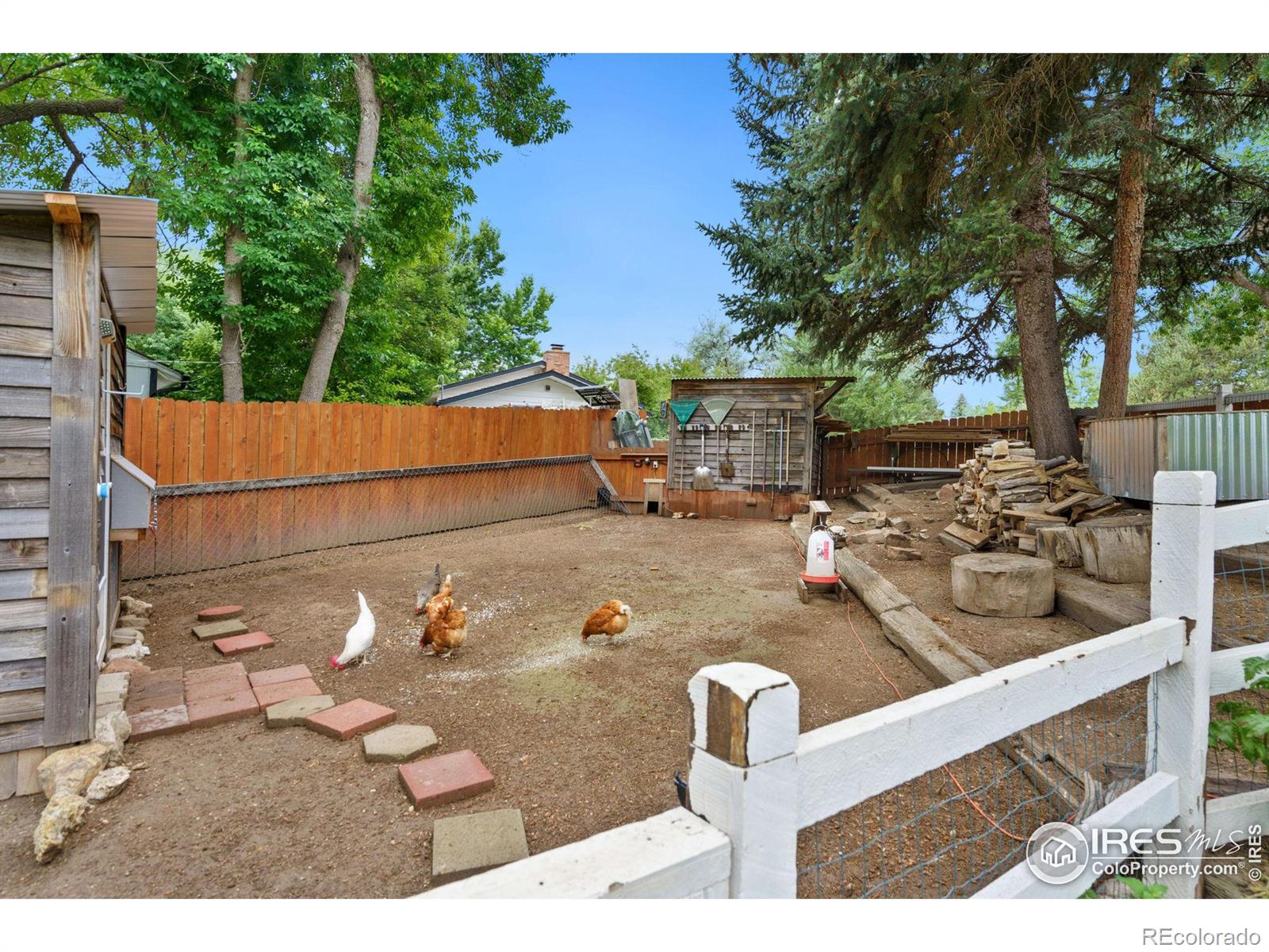 MLS Image #27 for 3500  arapahoe drive,fort collins, Colorado