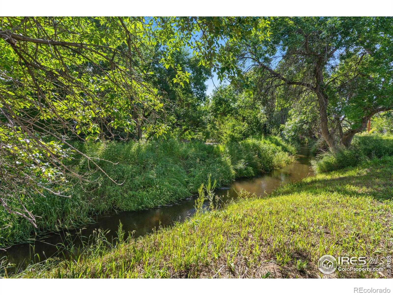 MLS Image #29 for 3500  arapahoe drive,fort collins, Colorado