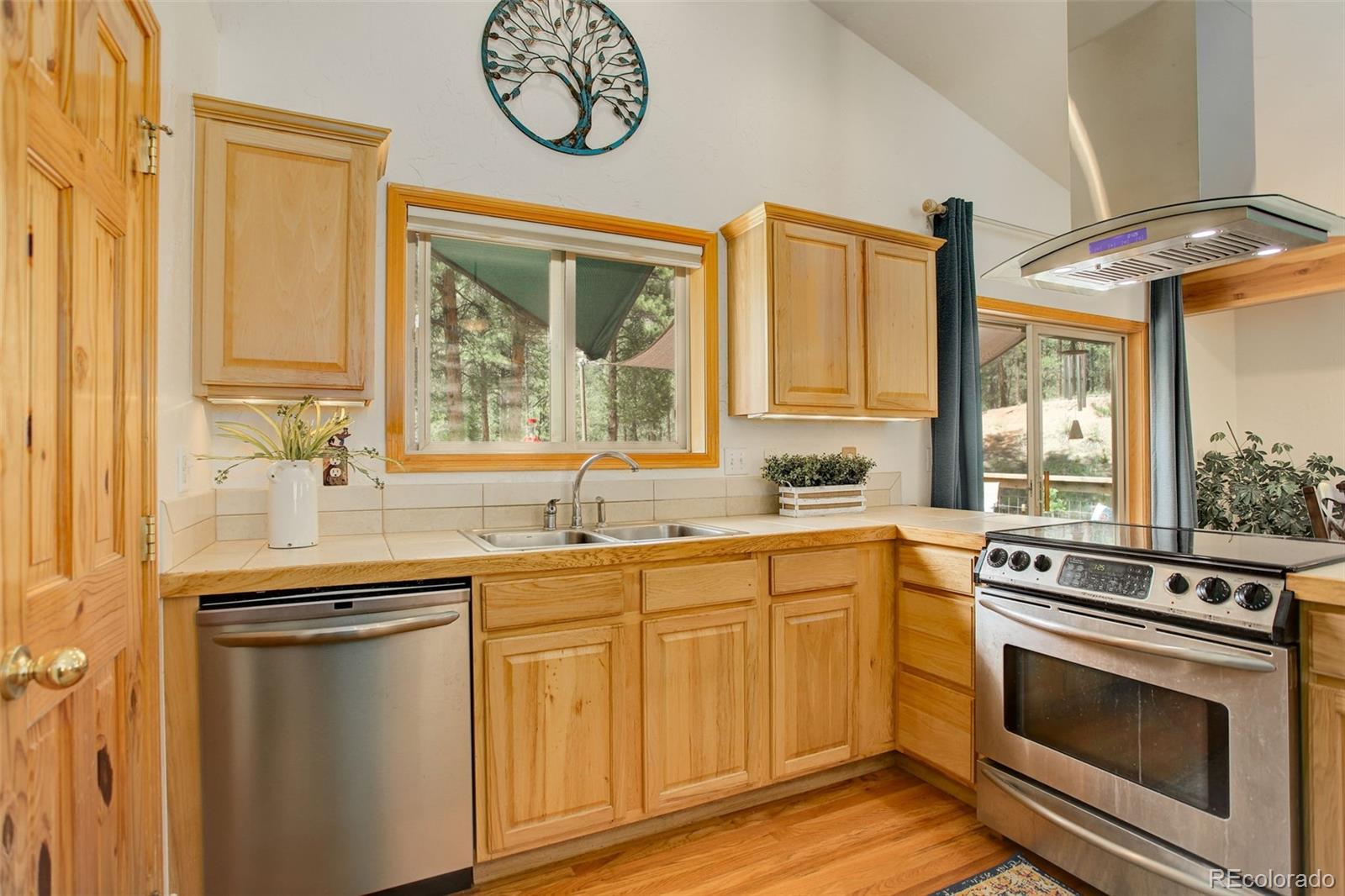MLS Image #12 for 14966  trailwood way,pine, Colorado