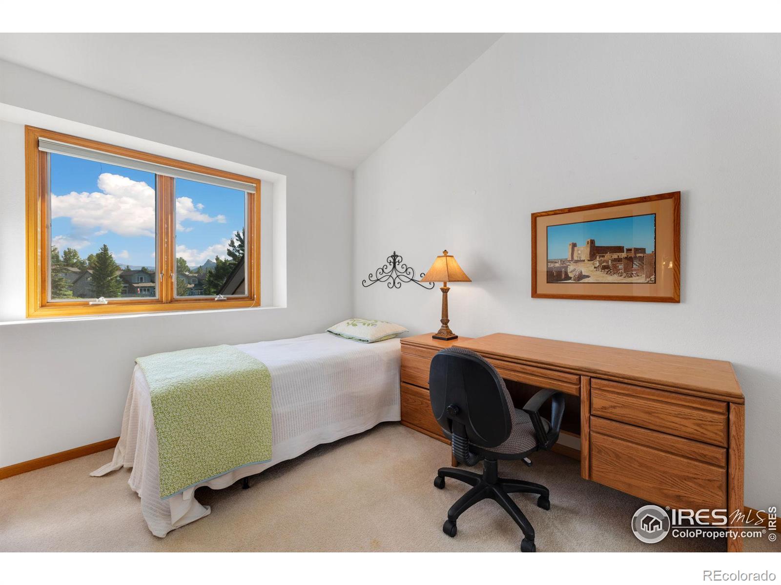 MLS Image #29 for 1500  raven circle,estes park, Colorado