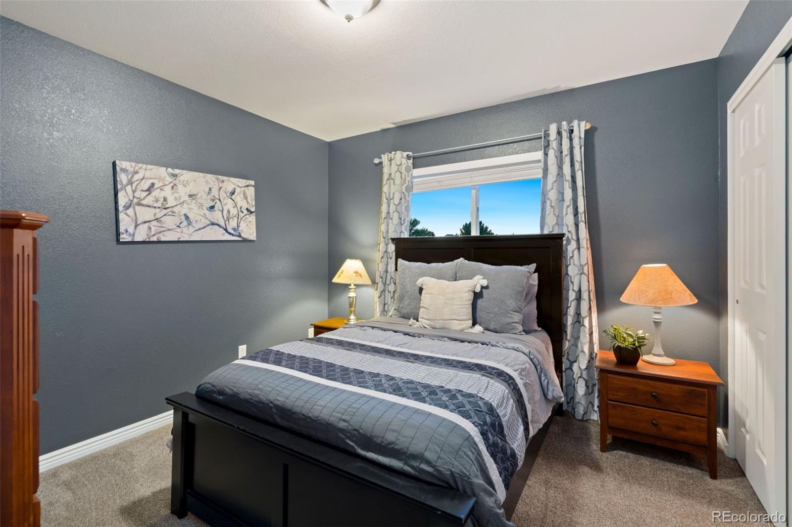 MLS Image #15 for 3238  reedgrass court,fort collins, Colorado