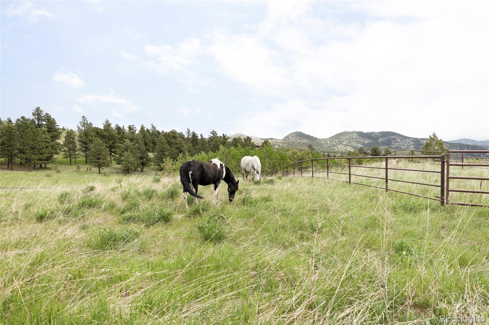 MLS Image #37 for 987  lost angel road,boulder, Colorado