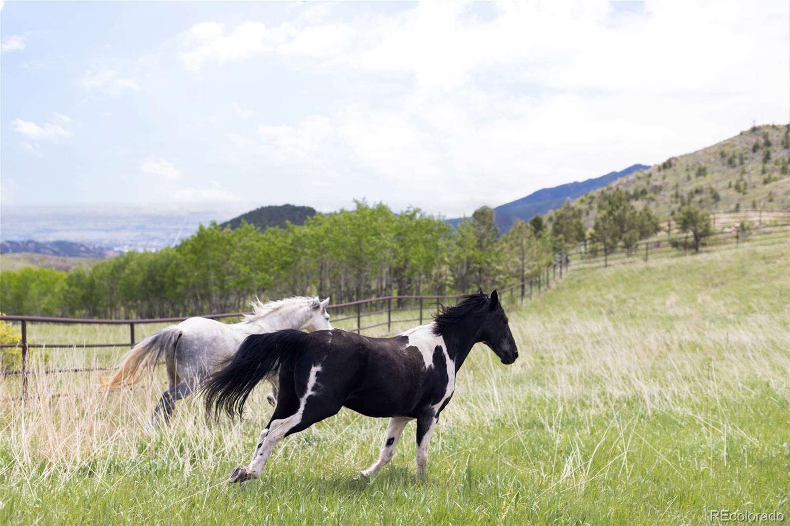 MLS Image #38 for 987  lost angel road,boulder, Colorado