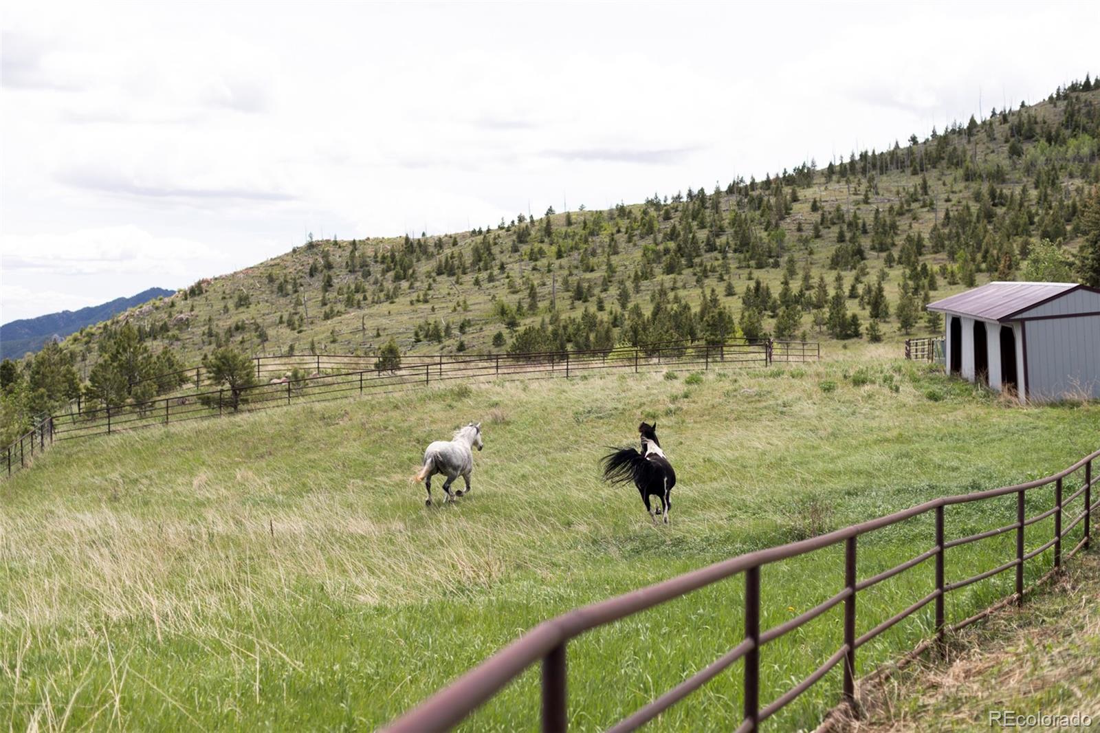 MLS Image #47 for 987  lost angel road,boulder, Colorado