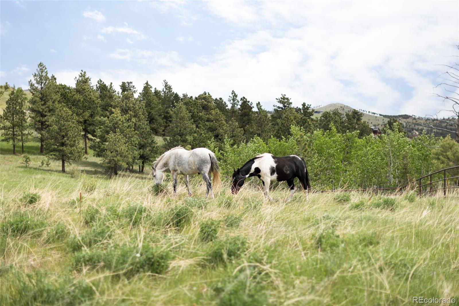 MLS Image #48 for 987  lost angel road,boulder, Colorado