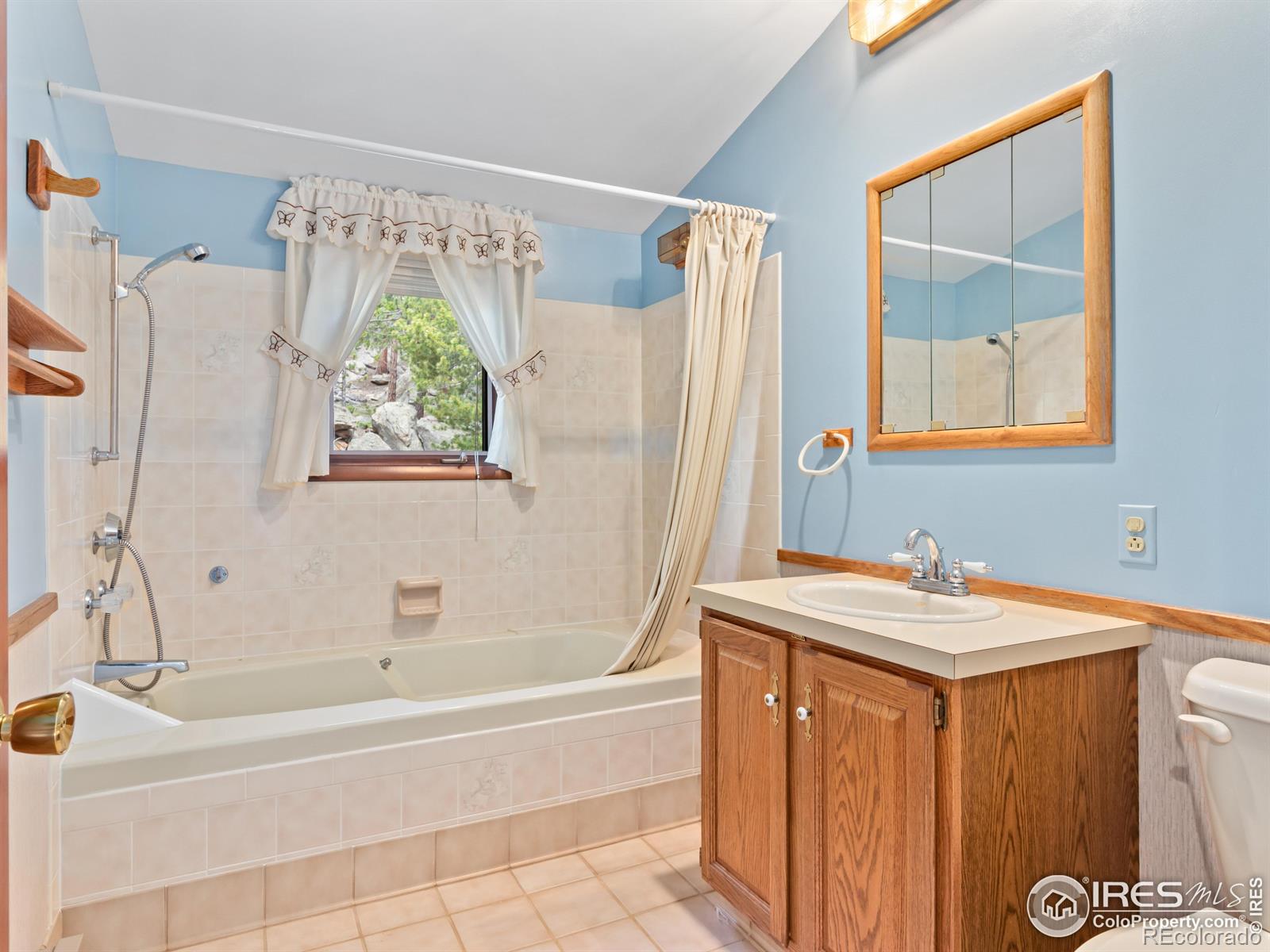 MLS Image #10 for 757  cabin creek road,allenspark, Colorado