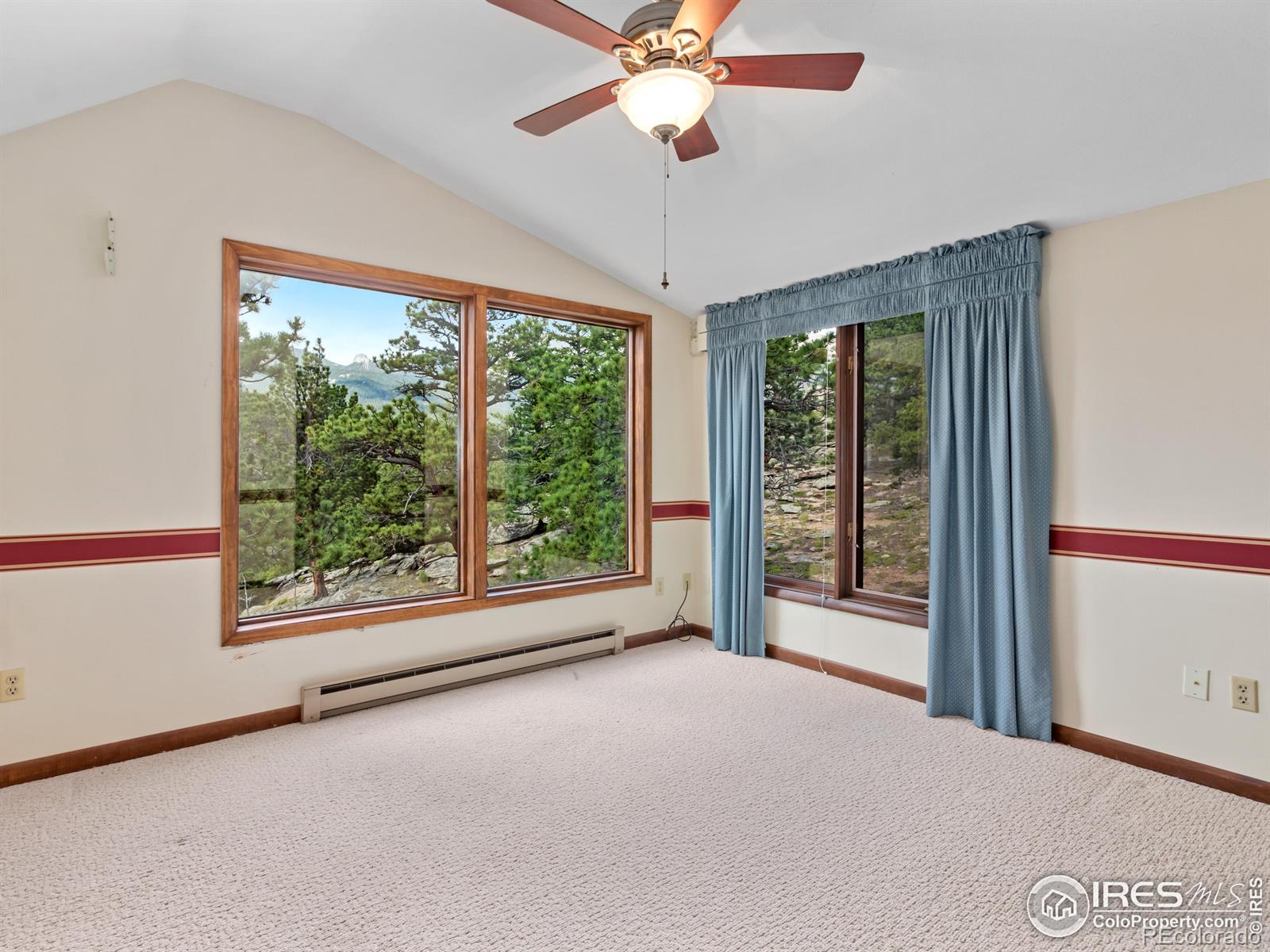 MLS Image #11 for 757  cabin creek road,allenspark, Colorado
