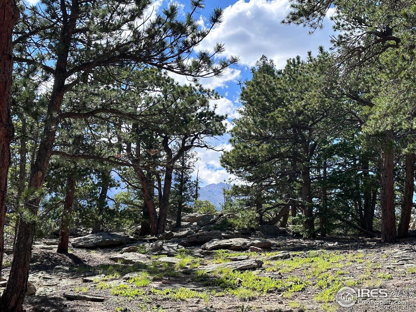 MLS Image #15 for 757  cabin creek road,allenspark, Colorado