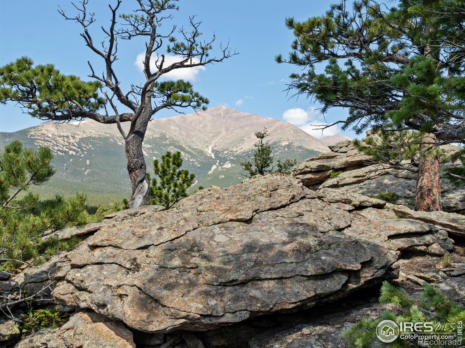 MLS Image #17 for 757  cabin creek road,allenspark, Colorado