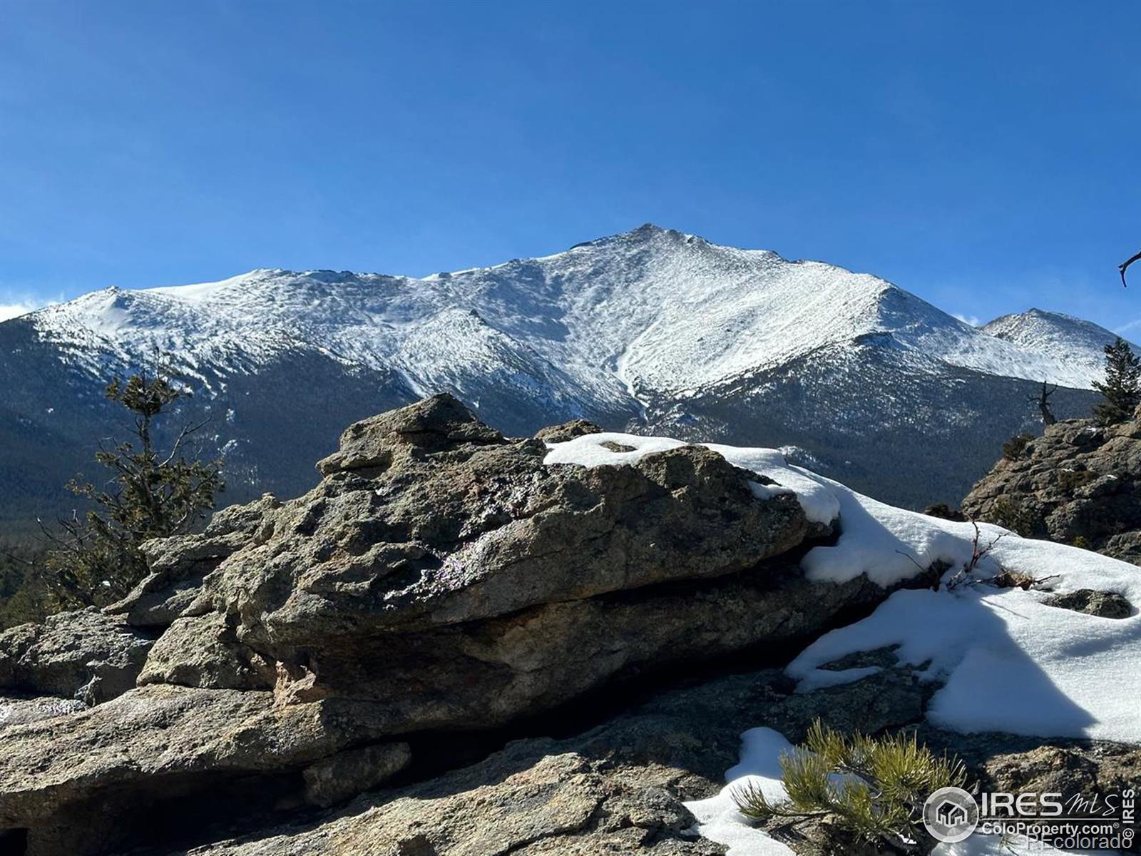 MLS Image #2 for 757  cabin creek road,allenspark, Colorado