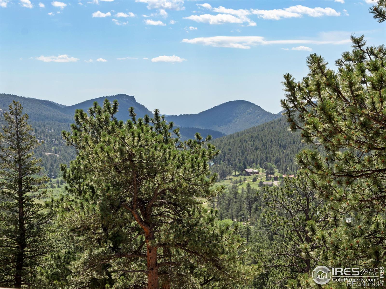 MLS Image #20 for 757  cabin creek road,allenspark, Colorado