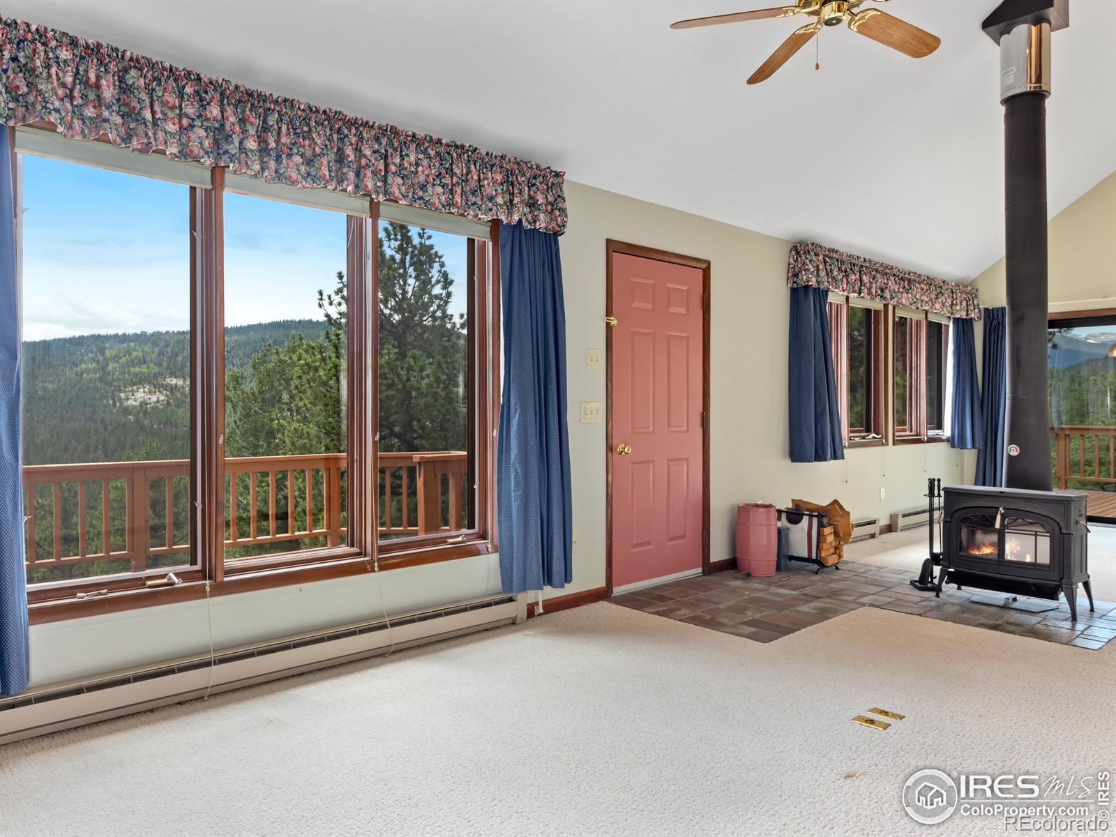 MLS Image #3 for 757  cabin creek road,allenspark, Colorado