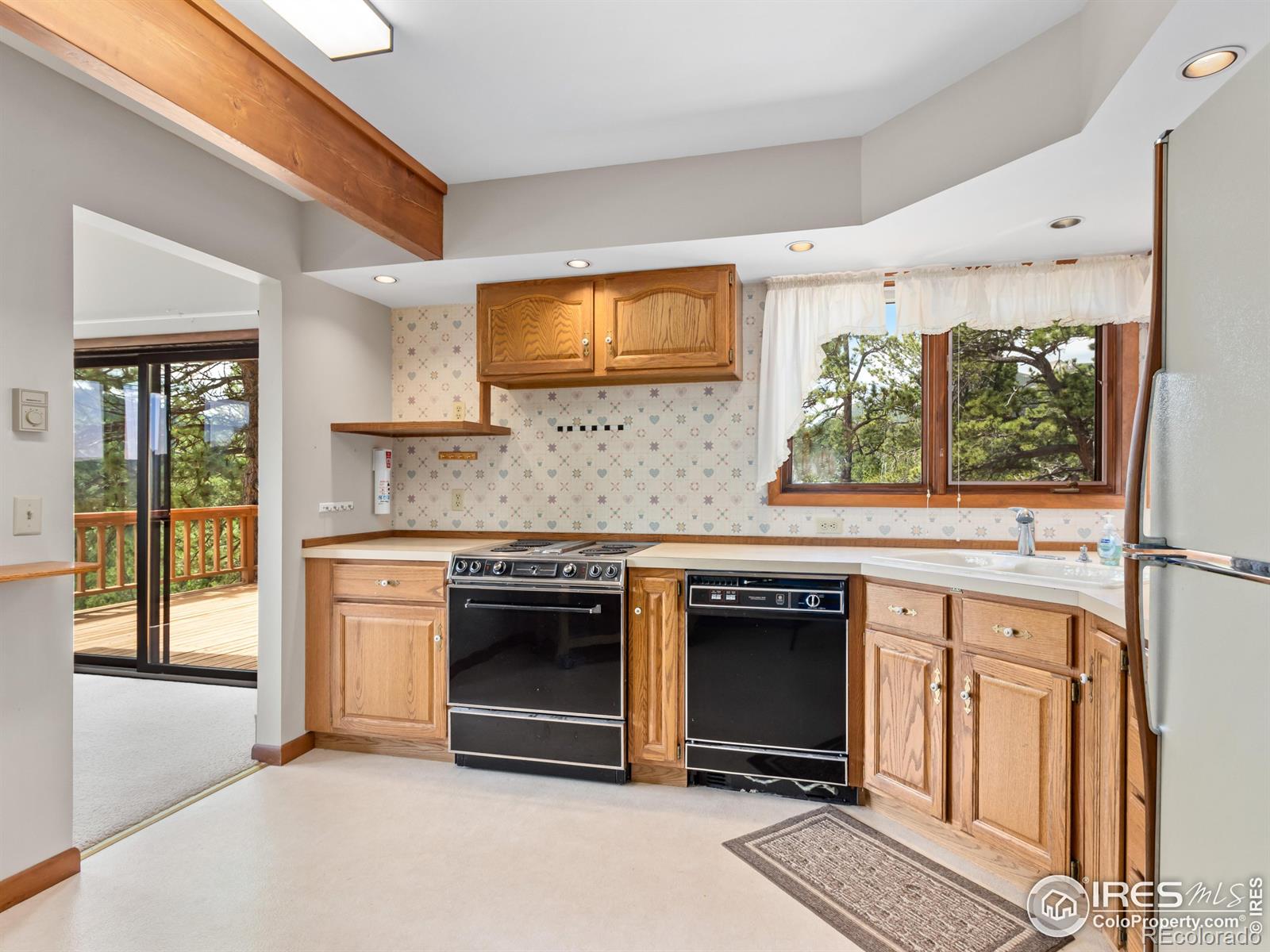 MLS Image #4 for 757  cabin creek road,allenspark, Colorado