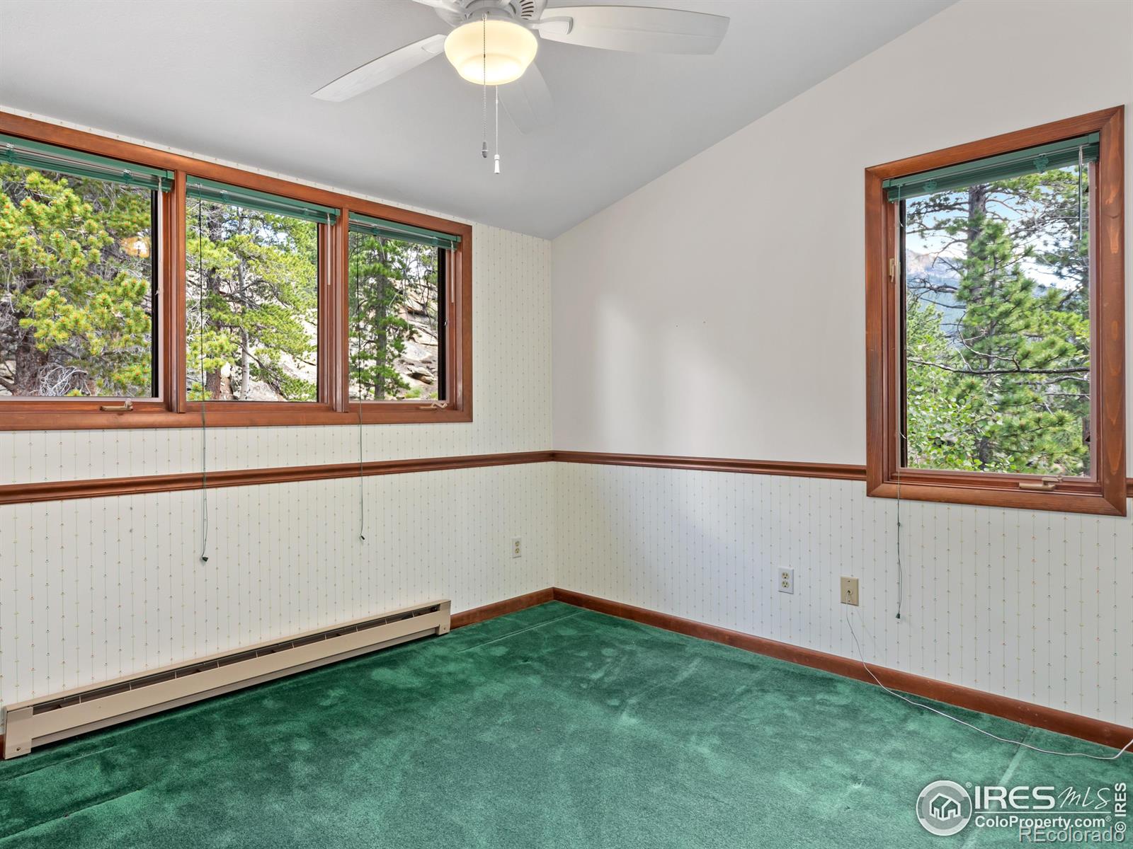 MLS Image #5 for 757  cabin creek road,allenspark, Colorado