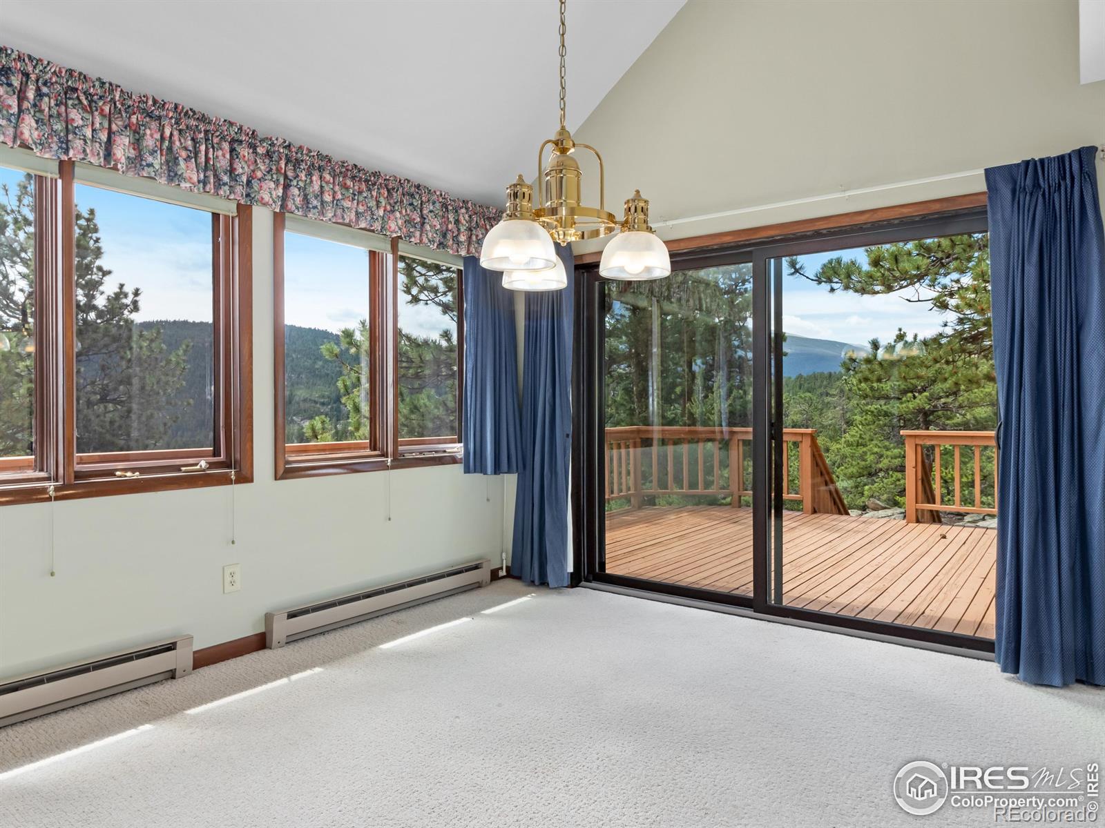 MLS Image #6 for 757  cabin creek road,allenspark, Colorado