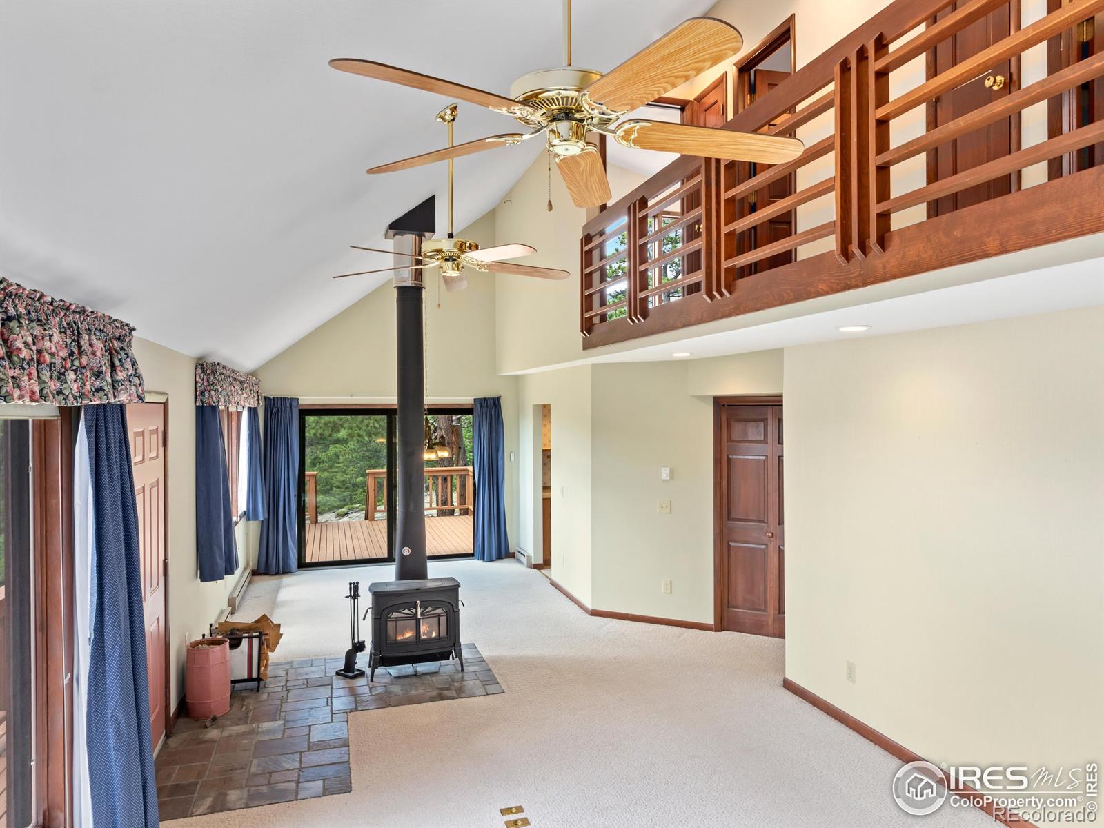MLS Image #7 for 757  cabin creek road,allenspark, Colorado