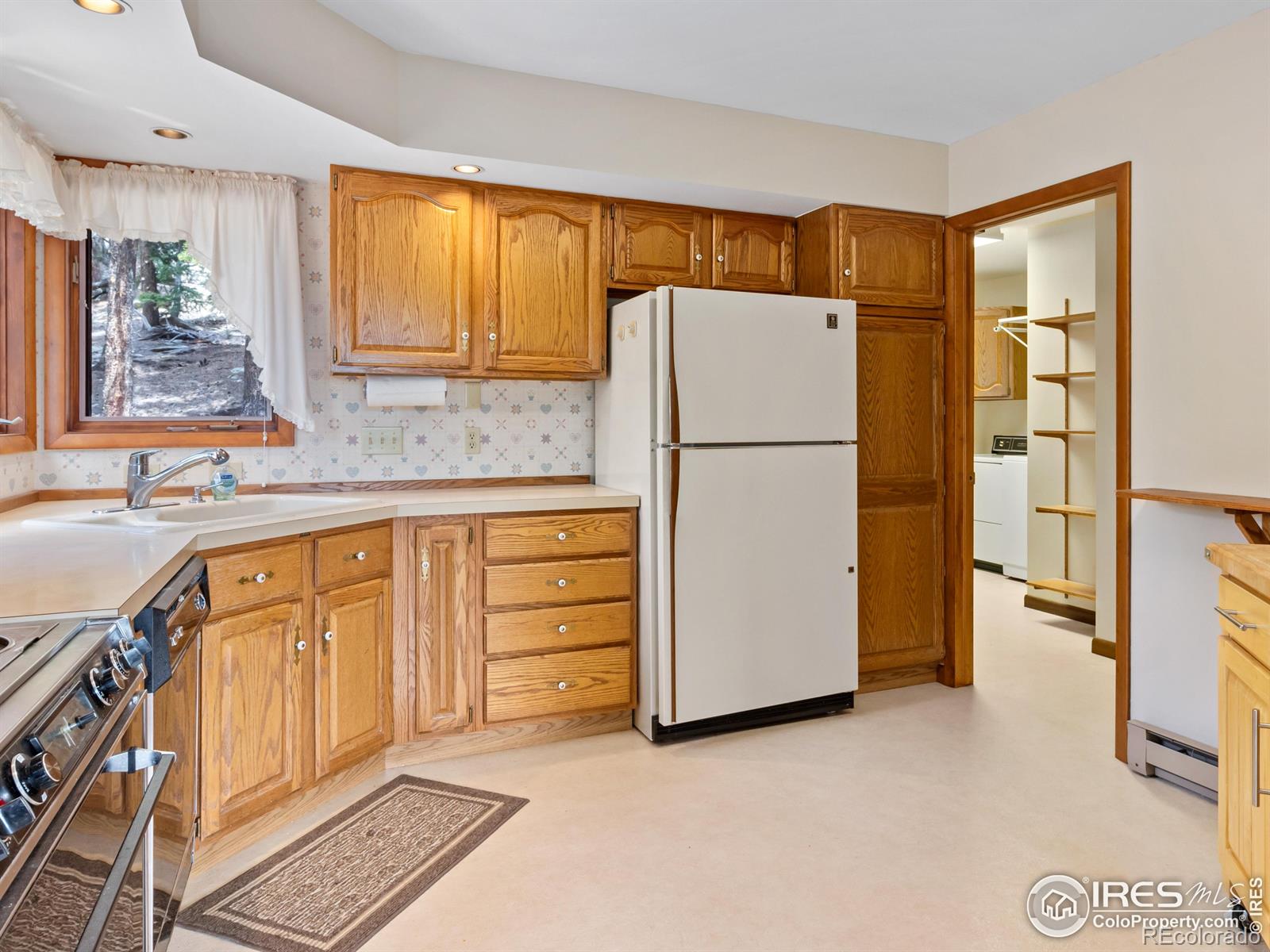 MLS Image #8 for 757  cabin creek road,allenspark, Colorado