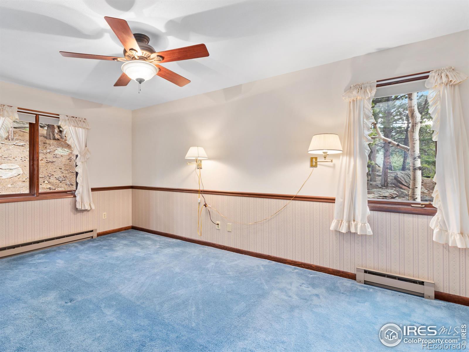 MLS Image #9 for 757  cabin creek road,allenspark, Colorado