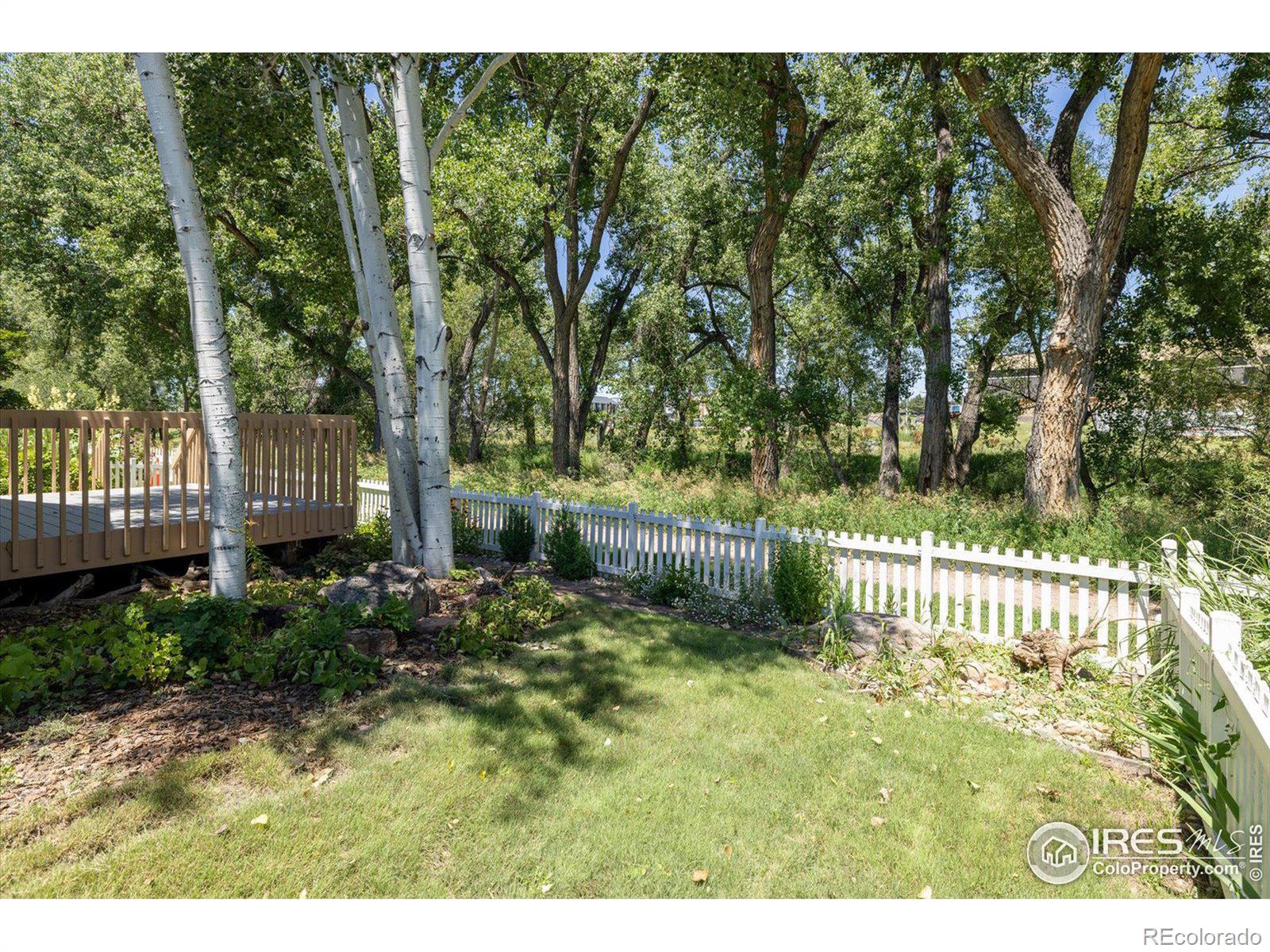 MLS Image #20 for 2135  springs place,longmont, Colorado