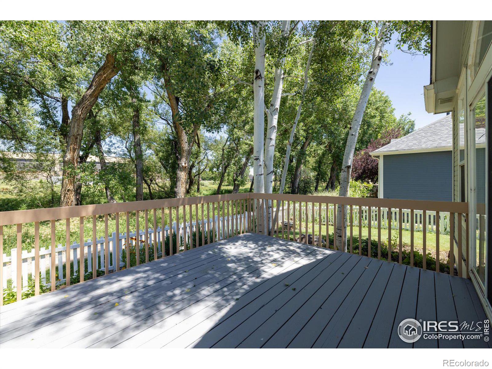 MLS Image #21 for 2135  springs place,longmont, Colorado