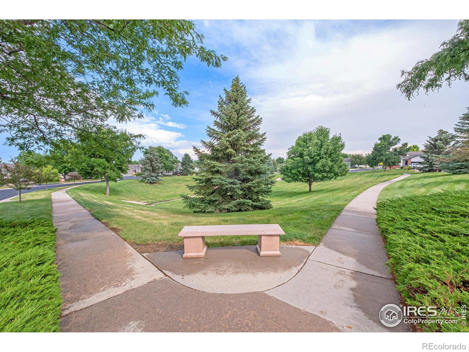 MLS Image #31 for 529  radiant drive,loveland, Colorado